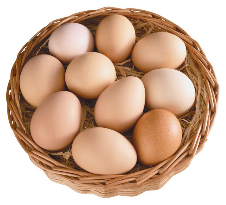 Yumurta ve Kolesterol